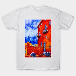 A house with windows that reflect the sky T-Shirt